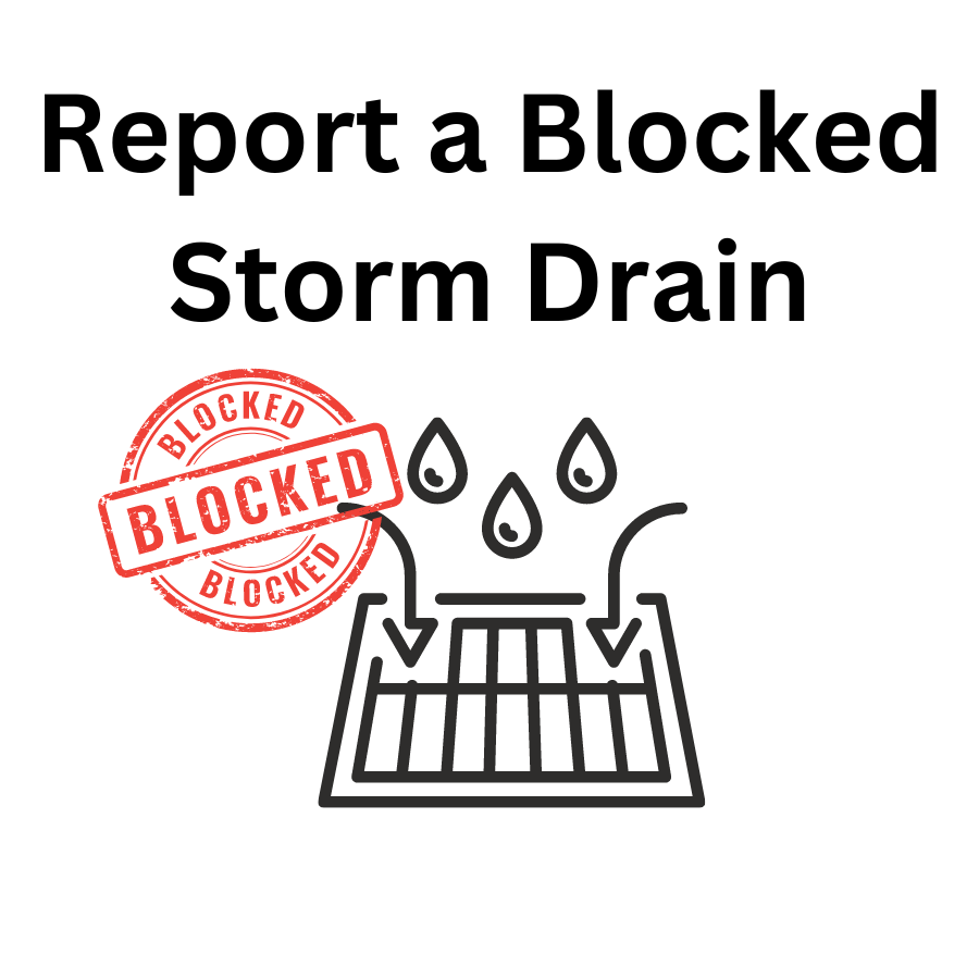 Blocked Storm Drain