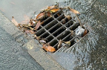 Stormdrain with rainwater and litter small