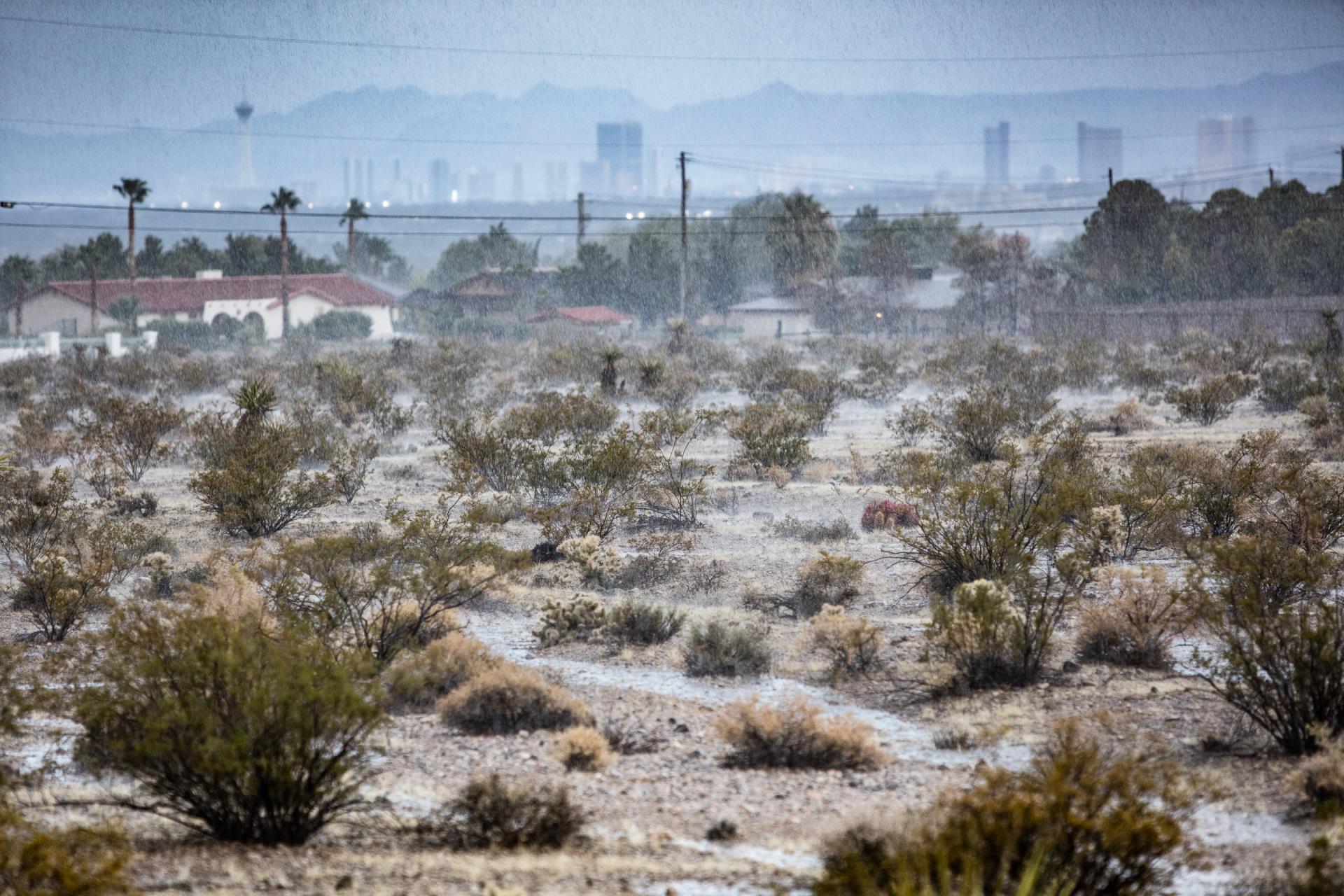 Desert runoff moves through the desert with the Strip in backdrop.